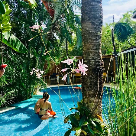 Ten North Tamarindo Beach Hotel