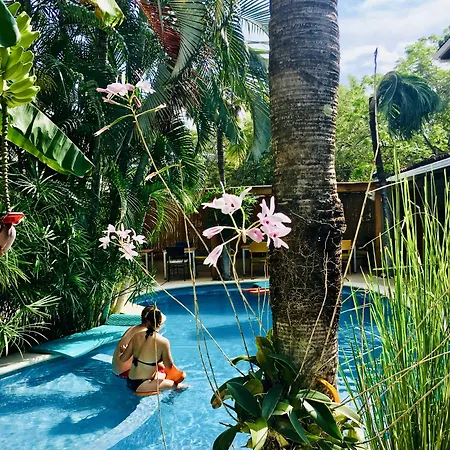 Ten North Tamarindo Beach Hotel